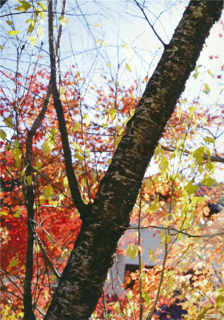 永尾玛利亚写真集《ヤバイ! まりや。》高清全本