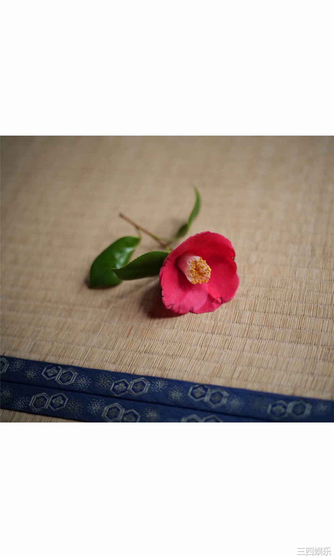 あまつ様写真集《コスプレ界のラスボス現る。》高清全本