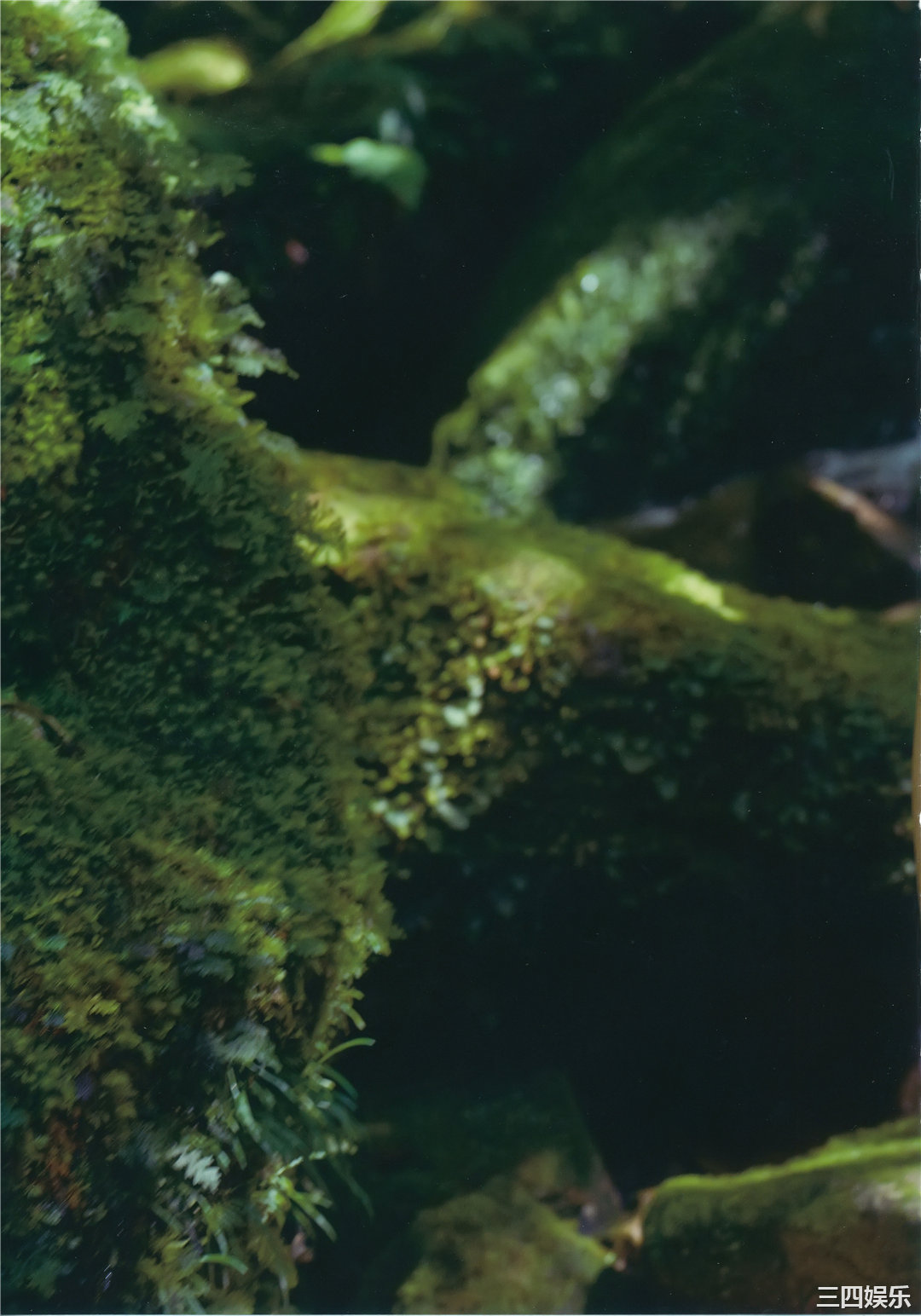 出口亚梨沙写真集《Entrance》高清全本