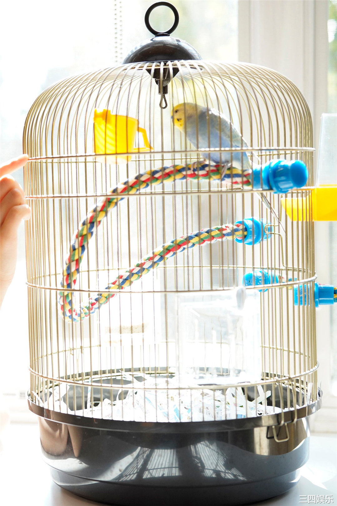 志田音音写真集《癒やしの純潔ビキニ》高清全本