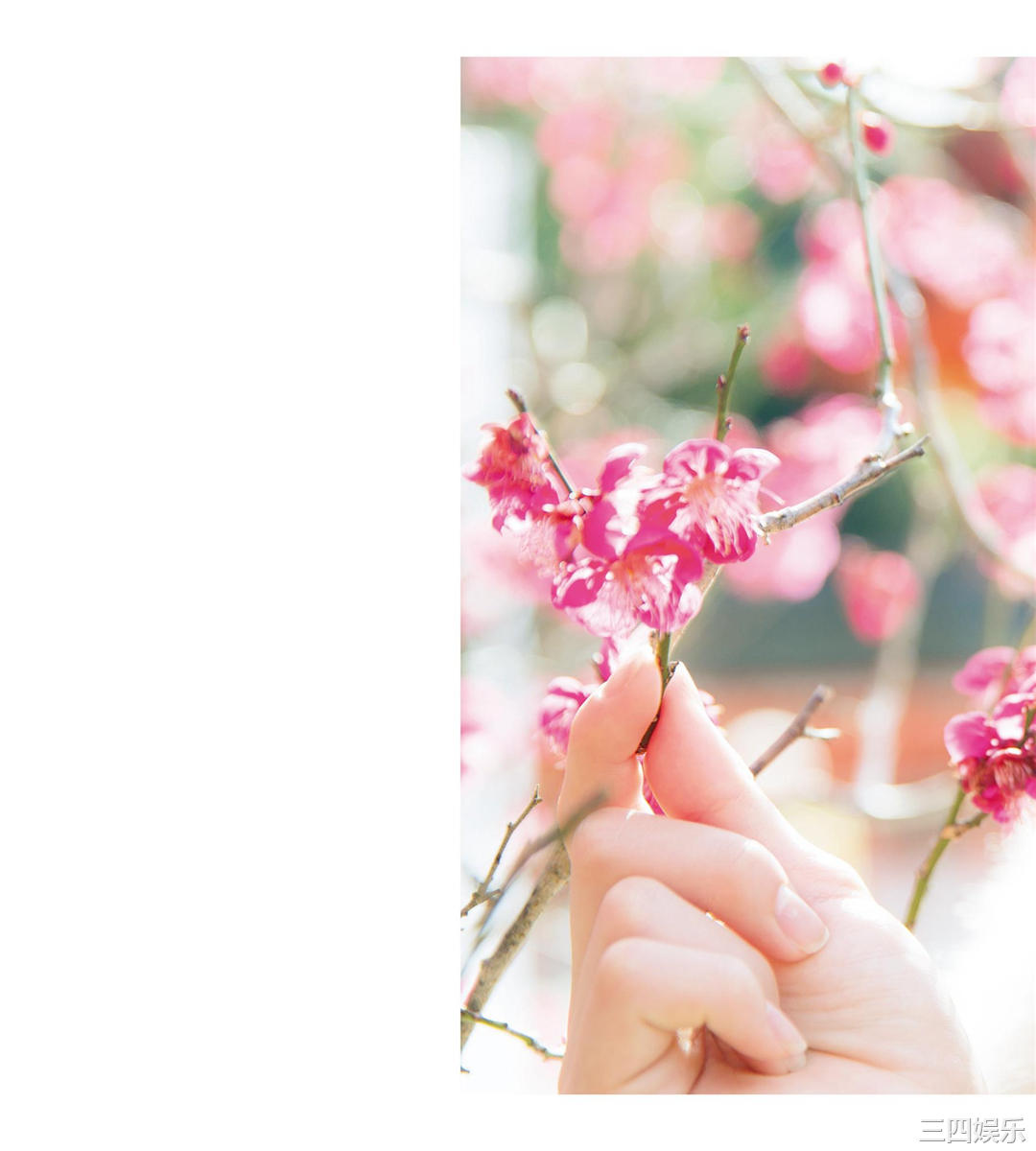 本田望结写真集《JUNIOR HIGH SCHOOL DAYS MIYU HONDA》高清全本