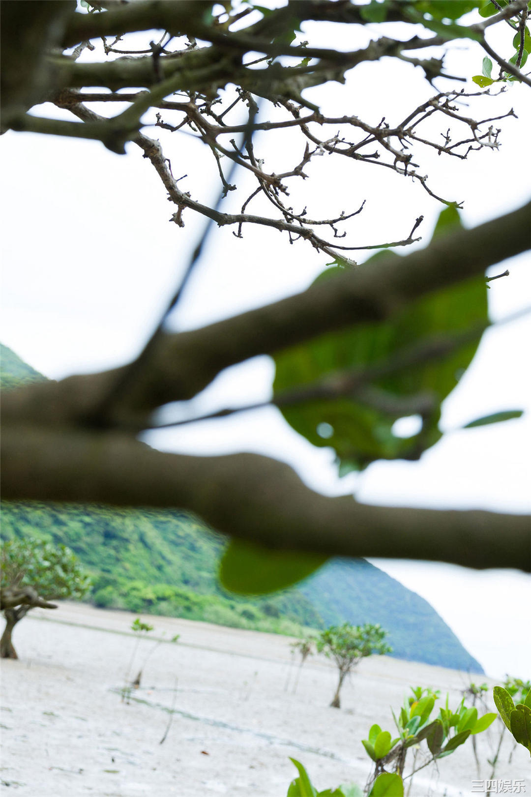 志田音音写真集《ｎｅｎｅ－まるっとりっぷ－》高清全本