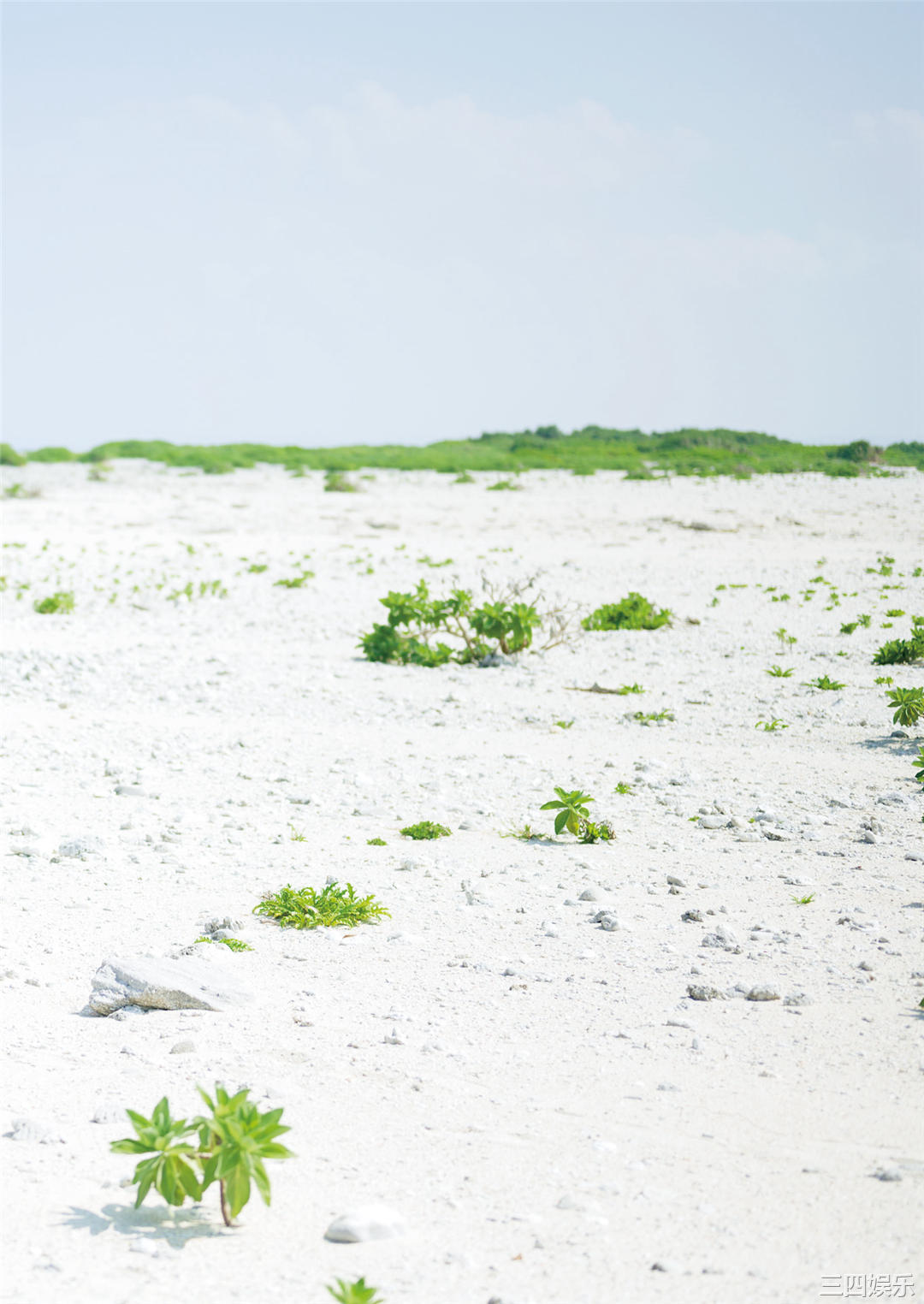 南里美希1ST写真集《heavenly》高清全本