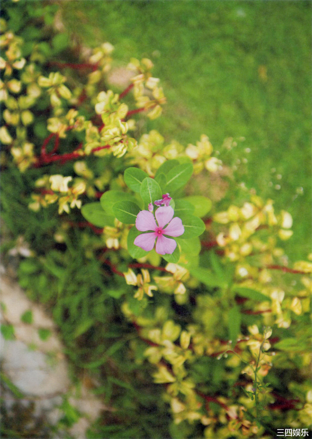 比嘉爱未1ST写真集《Clear》高清全本