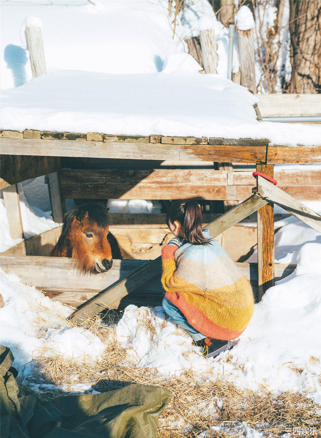 松下玲绪菜写真集《in the seasons》高清全本