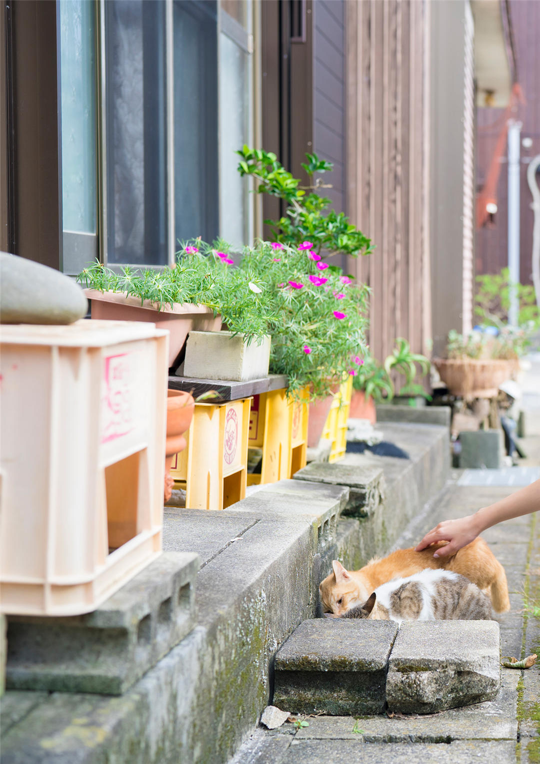 坂之上茜1ST写真集《あかねいろ》高清全本