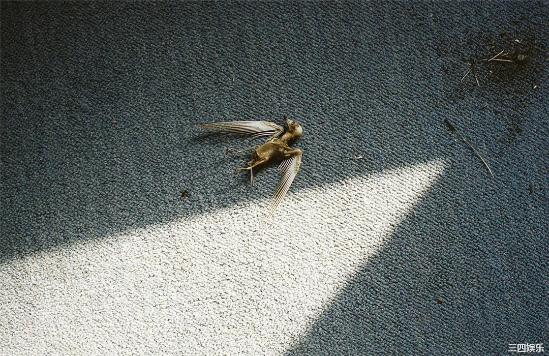 安达佑实写真集《[WPB-net] No.161 Yumi Adachi 安達祐実「Chapter」》高清全本