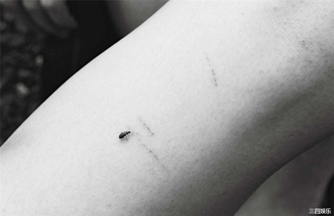 安达佑实写真集《[WPB-net] No.161 Yumi Adachi 安達祐実「Chapter」》高清全本