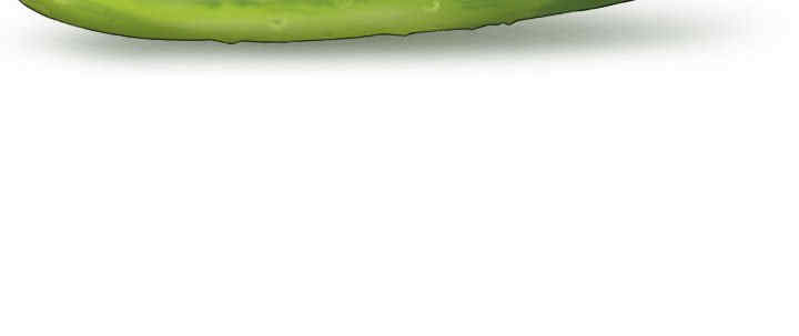 女性友人/换友派对