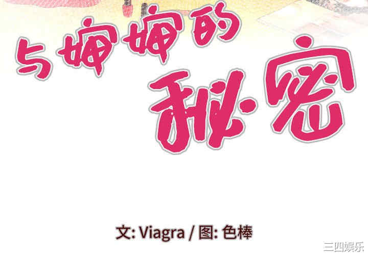 婶婶/与婶婶的秘密