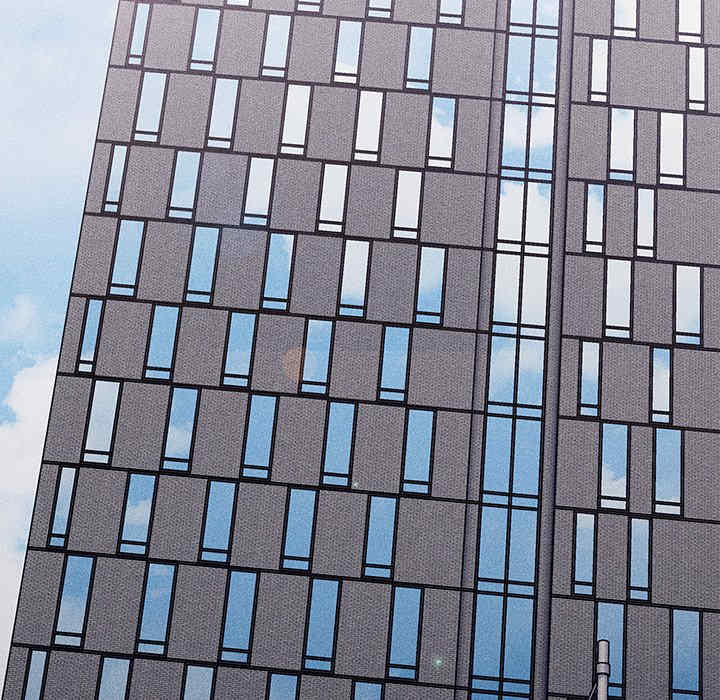 不请自来的未婚妻/陌生的未婚妻