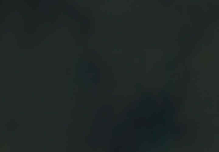 不请自来的未婚妻/陌生的未婚妻