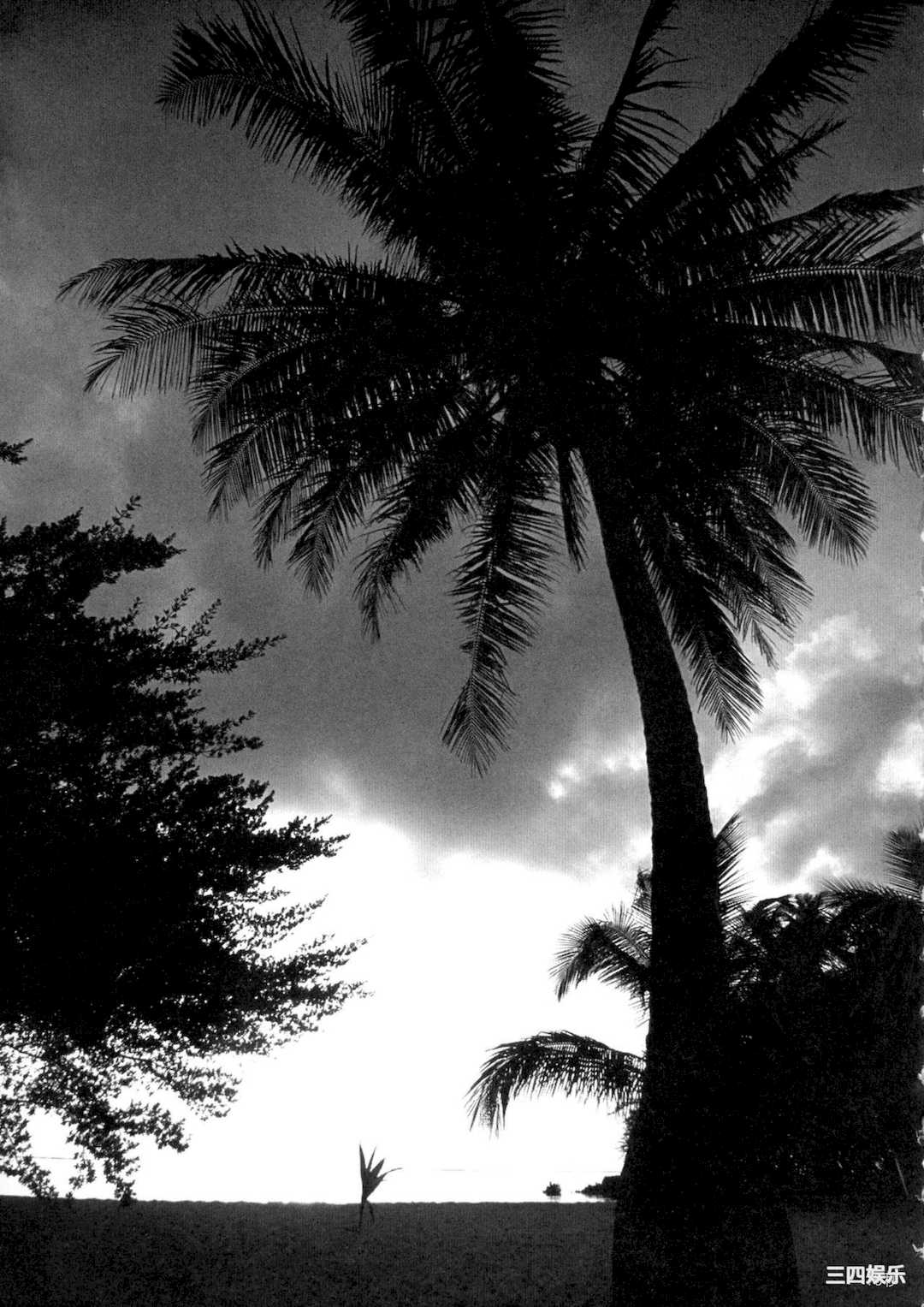 [戦闘的越中] 着床！孕ませ島 [中文机翻]