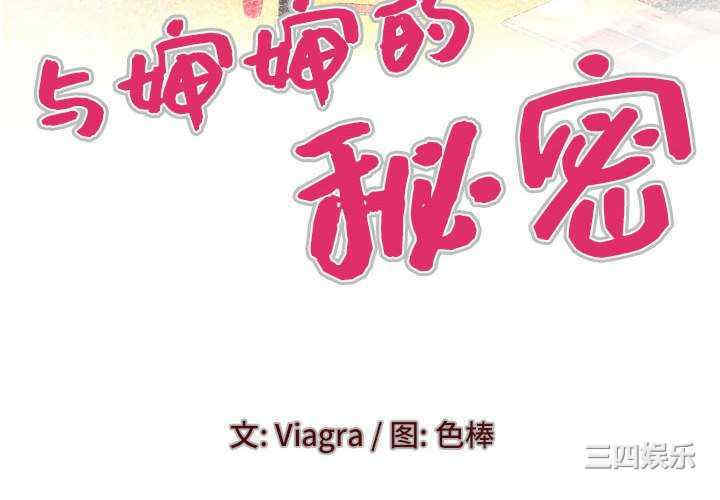 婶婶/与婶婶的秘密