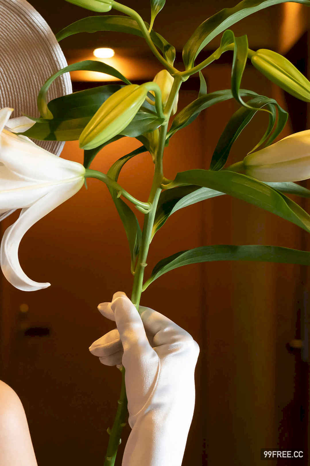 丰田露娜写真集《グレート・ギャツビー》高清全本