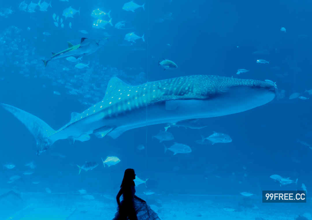 志田音音写真集《ねぇね～》高清全本