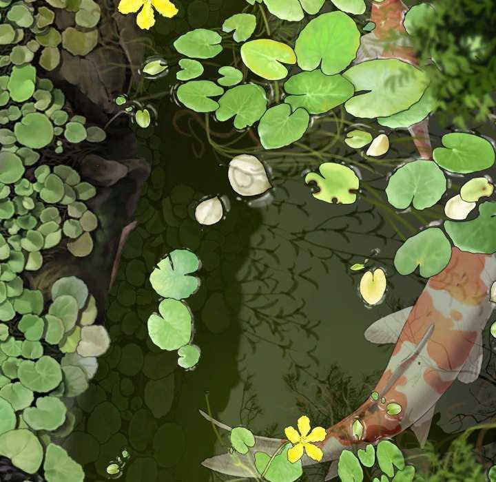 女性友人/换友派对