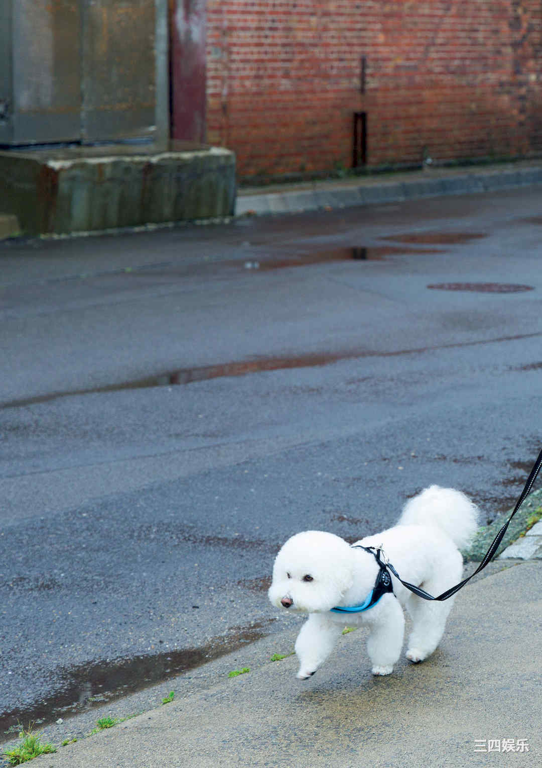 山田南实写真集《Ｄｅｐａｒｔｕｒｅ》高清全本