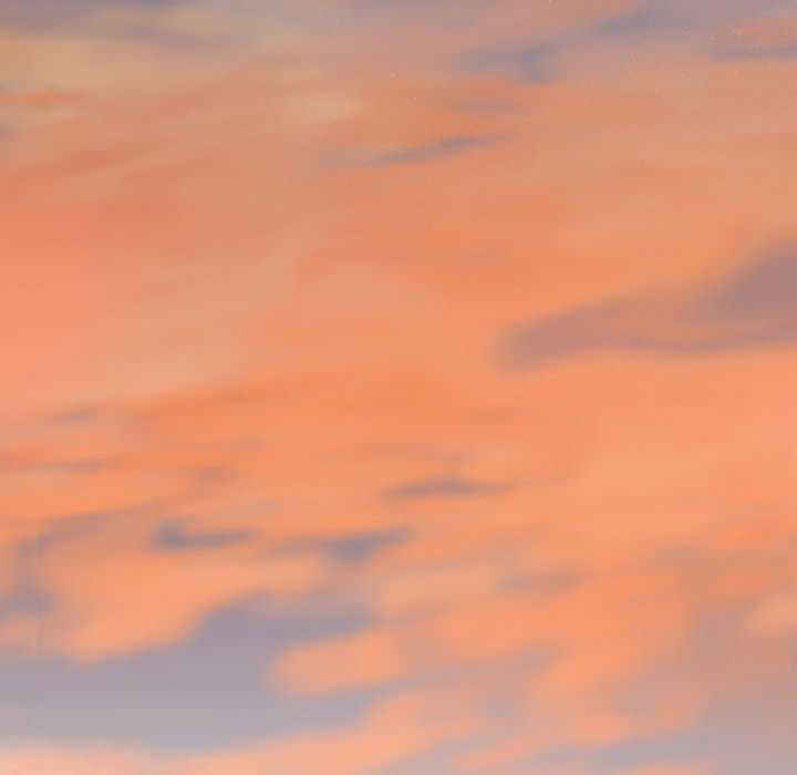 女性友人/换友派对