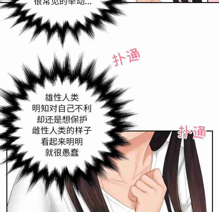 我的专属娃娃/我的完美娃娃