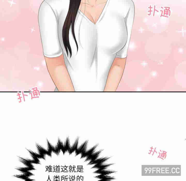 我的专属娃娃/我的完美娃娃