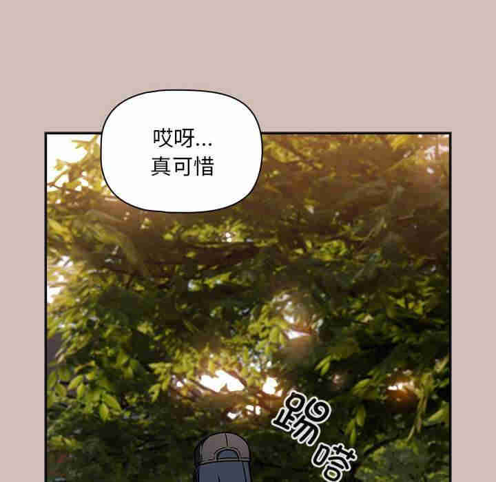 欢迎加入粉丝团/粉丝招募中