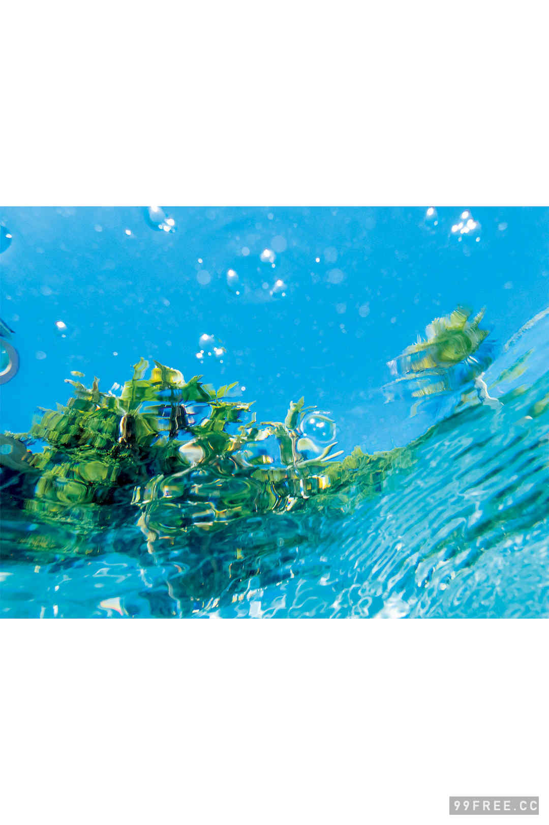 久松郁实写真集《LA》高清全本