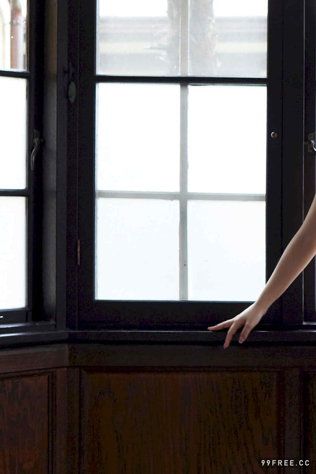 藤园丽写真集《パンドラの匣》高清全本