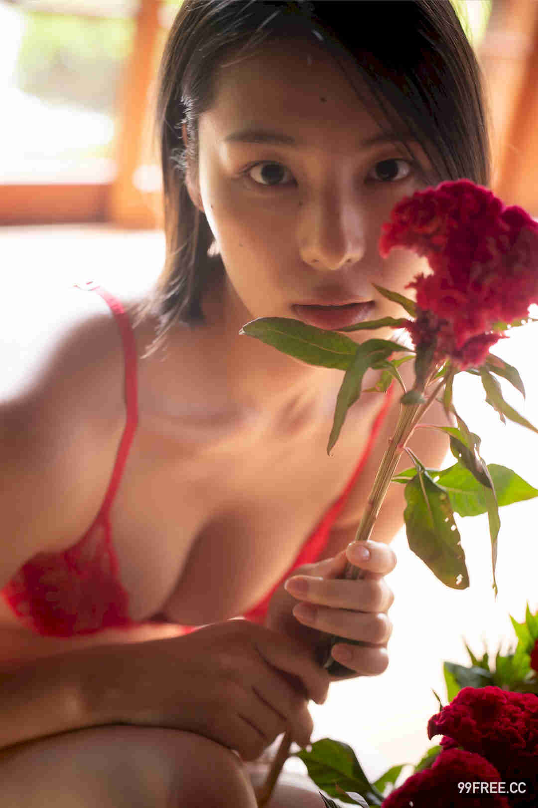 相乐伊织写真集《蜜のあわれ》高清全本