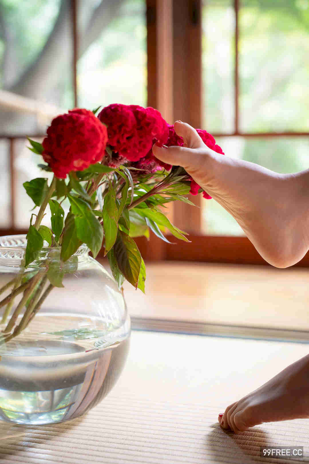 相乐伊织写真集《蜜のあわれ》高清全本