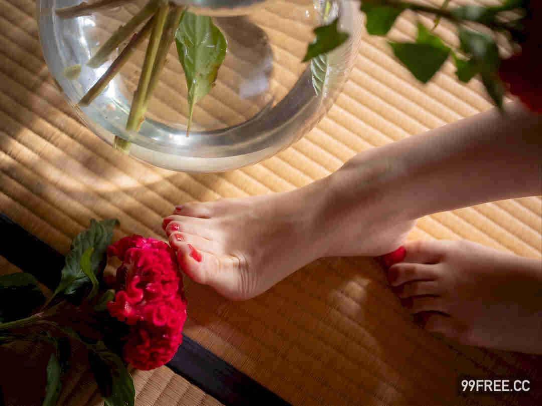 相乐伊织写真集《蜜のあわれ》高清全本