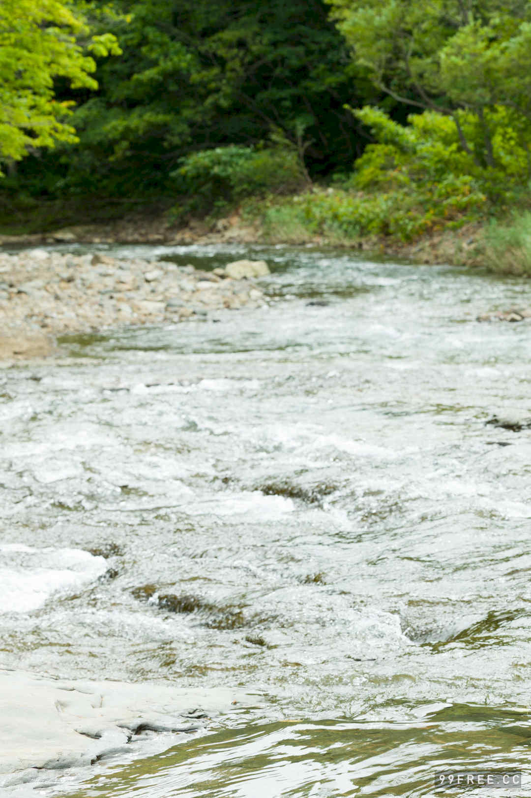 山田南实写真集《Ｒｅａｌ》高清全本