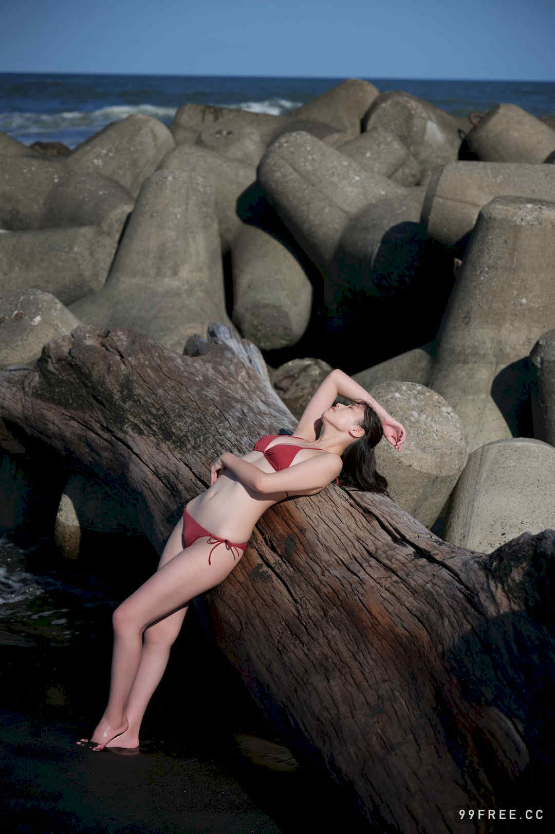 北向珠夕写真集《２２歳の挑戦》高清全本