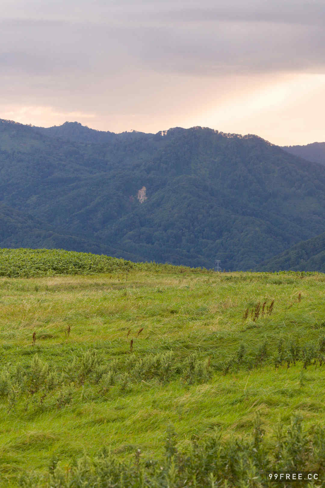 山田南实写真集《Ｒｅａｌ》高清全本