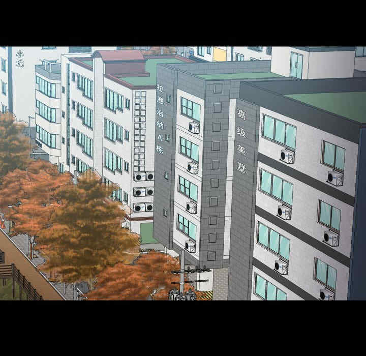 社区重建协会/敲开你的门