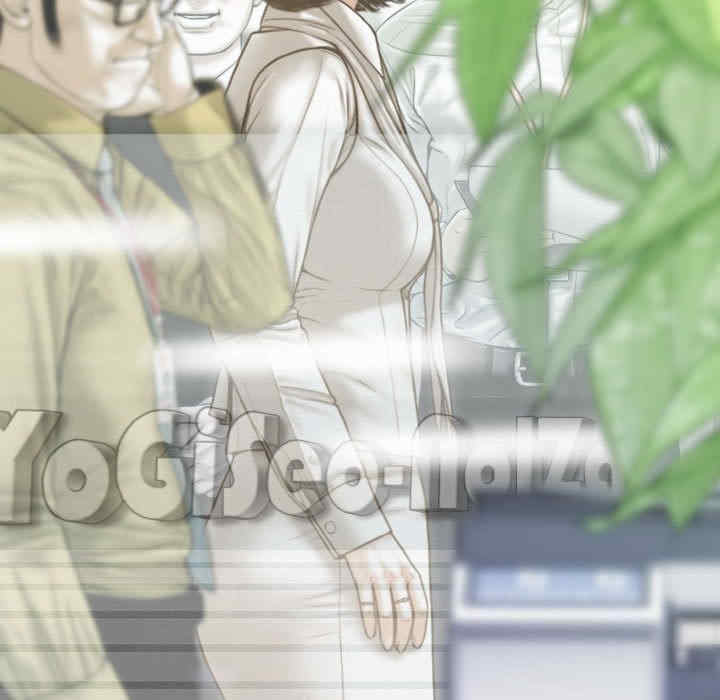 不可抗拒的吸引/放任诱惑