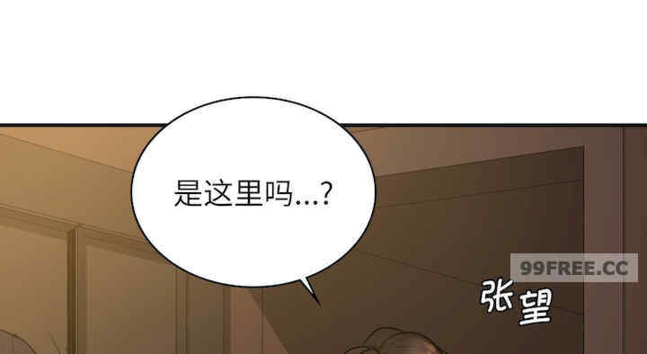 年轻代表/不该爱上你