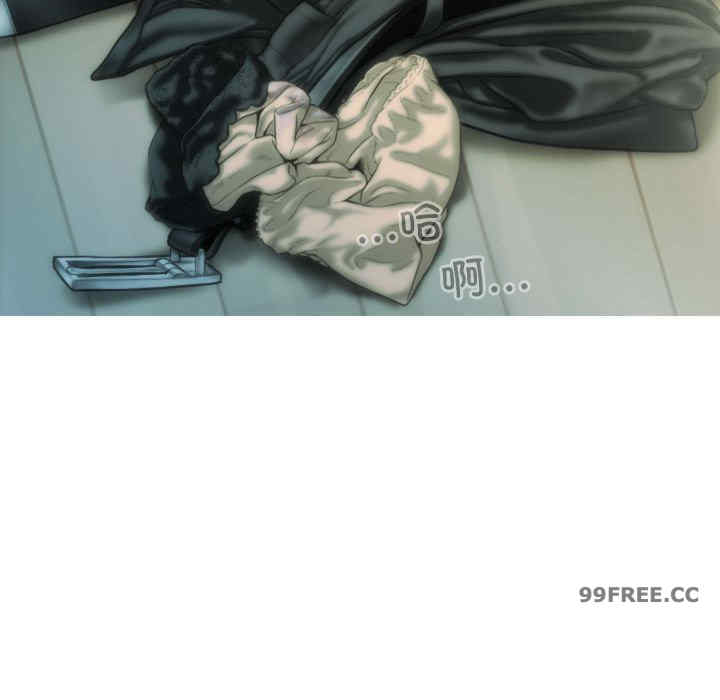 不可抗拒的吸引/放任诱惑