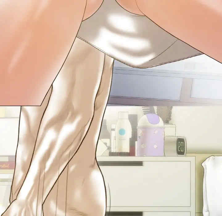 不可抗拒的吸引/放任诱惑