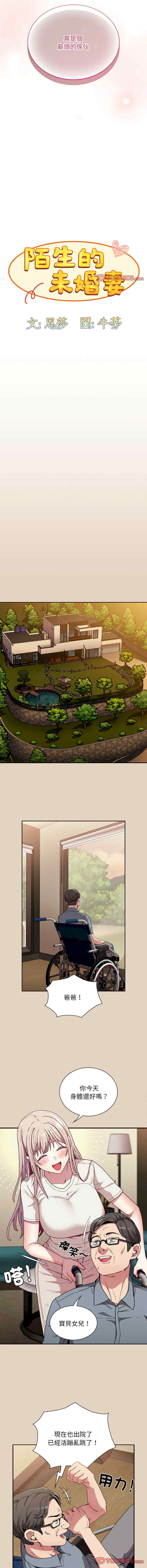 不请自来的未婚妻/陌生的未婚妻