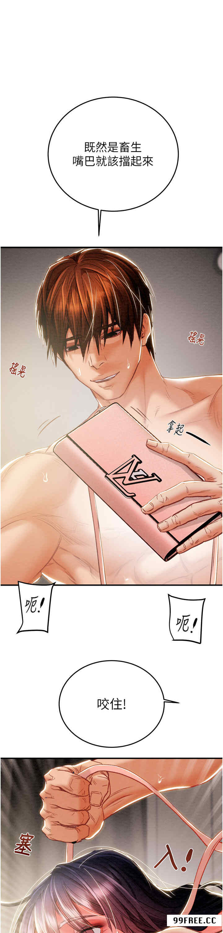 掠夺行动/抢夺的滋味