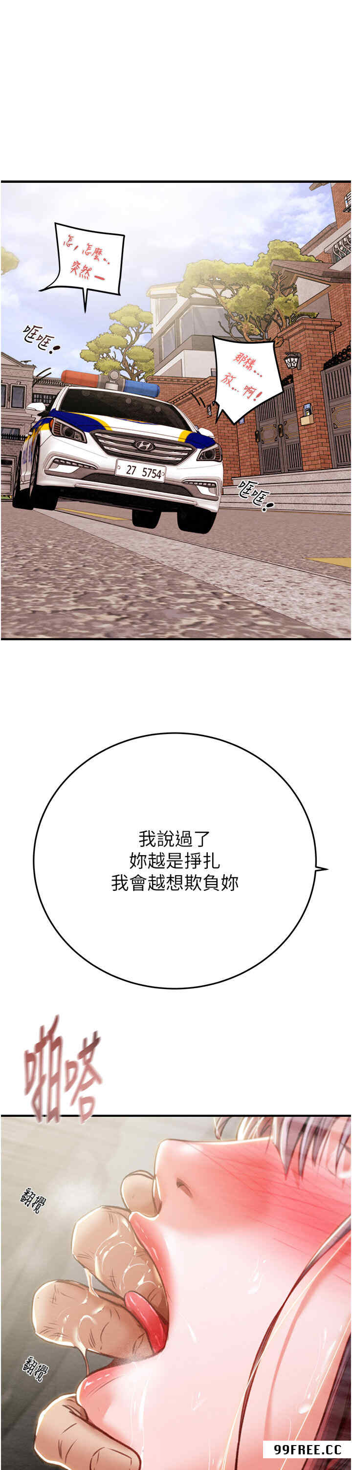 掠夺行动/抢夺的滋味