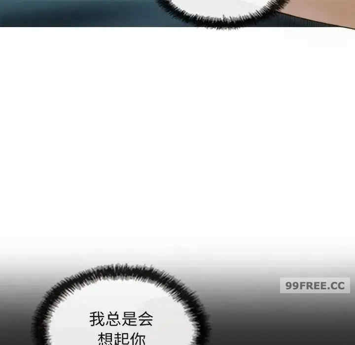 不可抗拒的吸引/放任诱惑