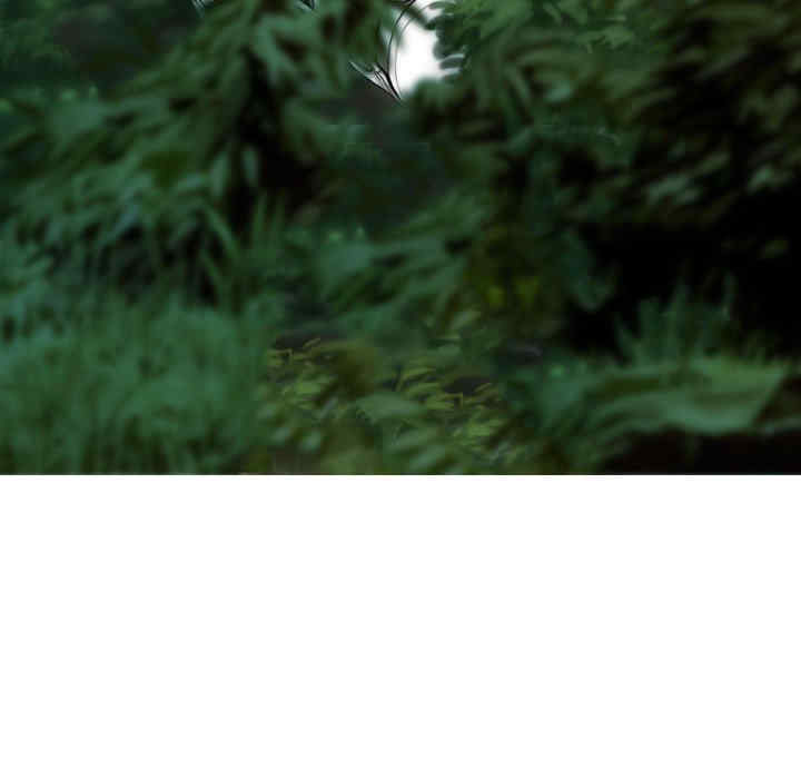 不可抗拒的吸引/放任诱惑