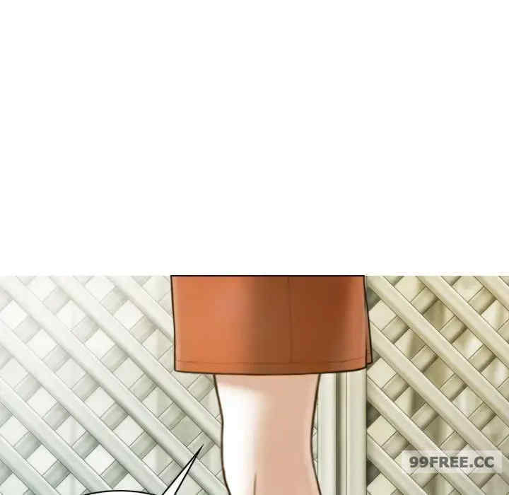 不可抗拒的吸引/放任诱惑