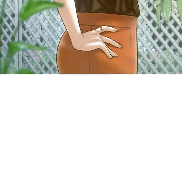 不可抗拒的吸引/放任诱惑