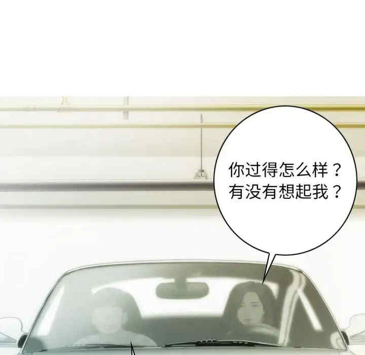 不可抗拒的吸引/放任诱惑