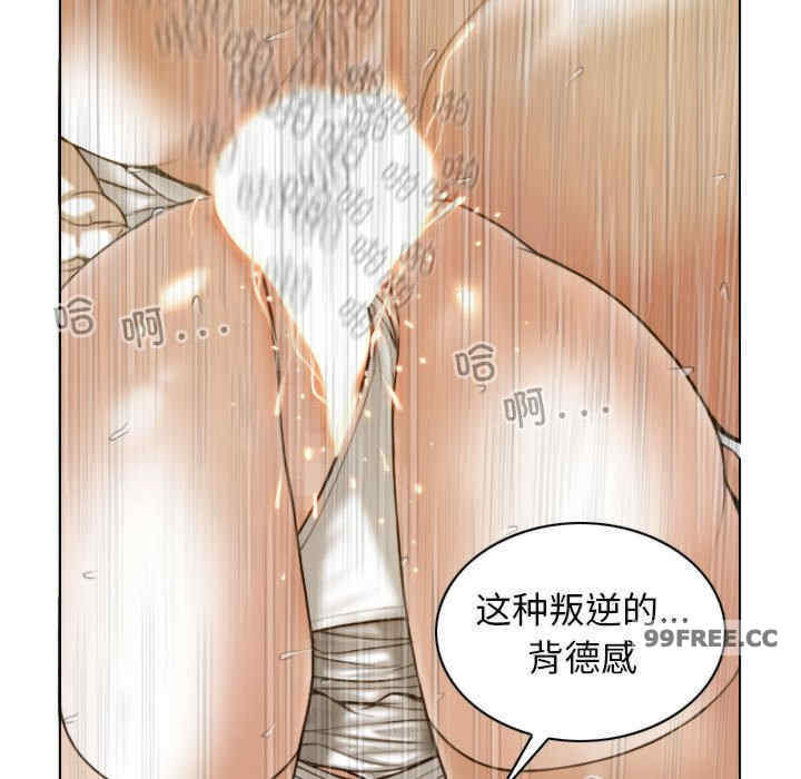 不可抗拒的吸引/放任诱惑