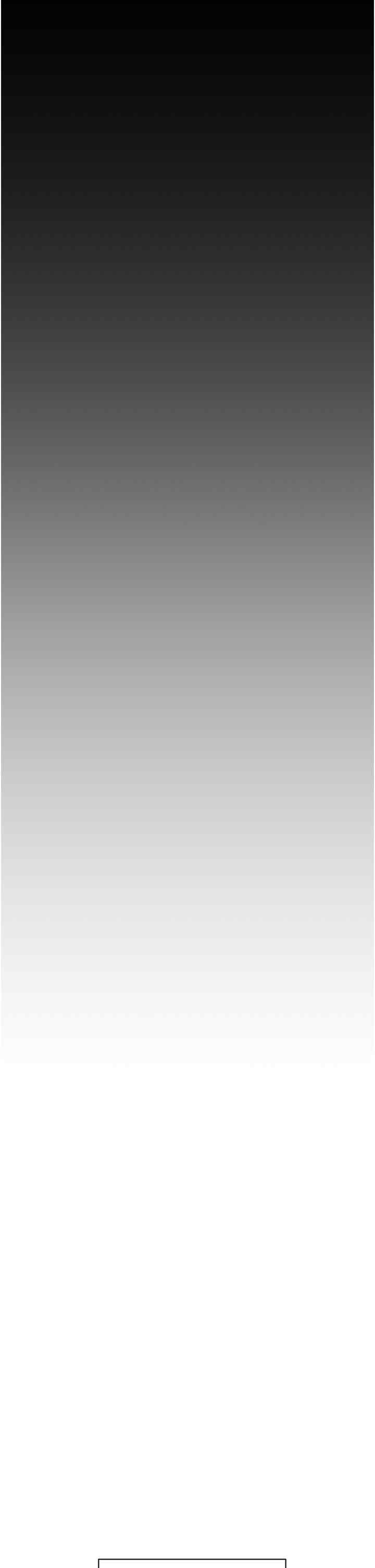 掠夺行动/抢夺的滋味