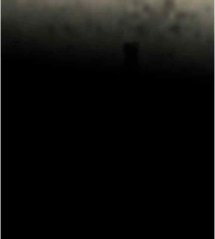 老师的亲密指导